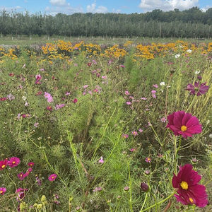 Meet your Posher, Zaina